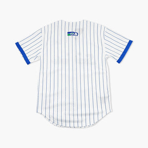 Seattle Seahawks Head Coach Striped Mesh Button Front Jersey