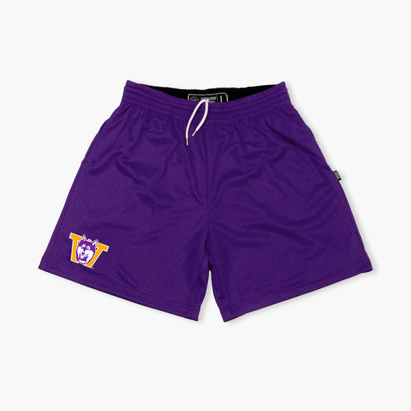 Washington Huskies Purple Mesh Basketball Shorts